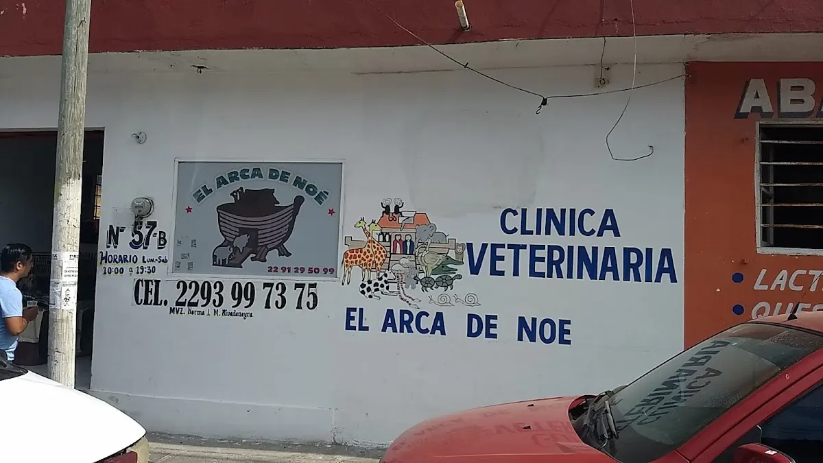 El Arca de Noé — foto 3 de 3