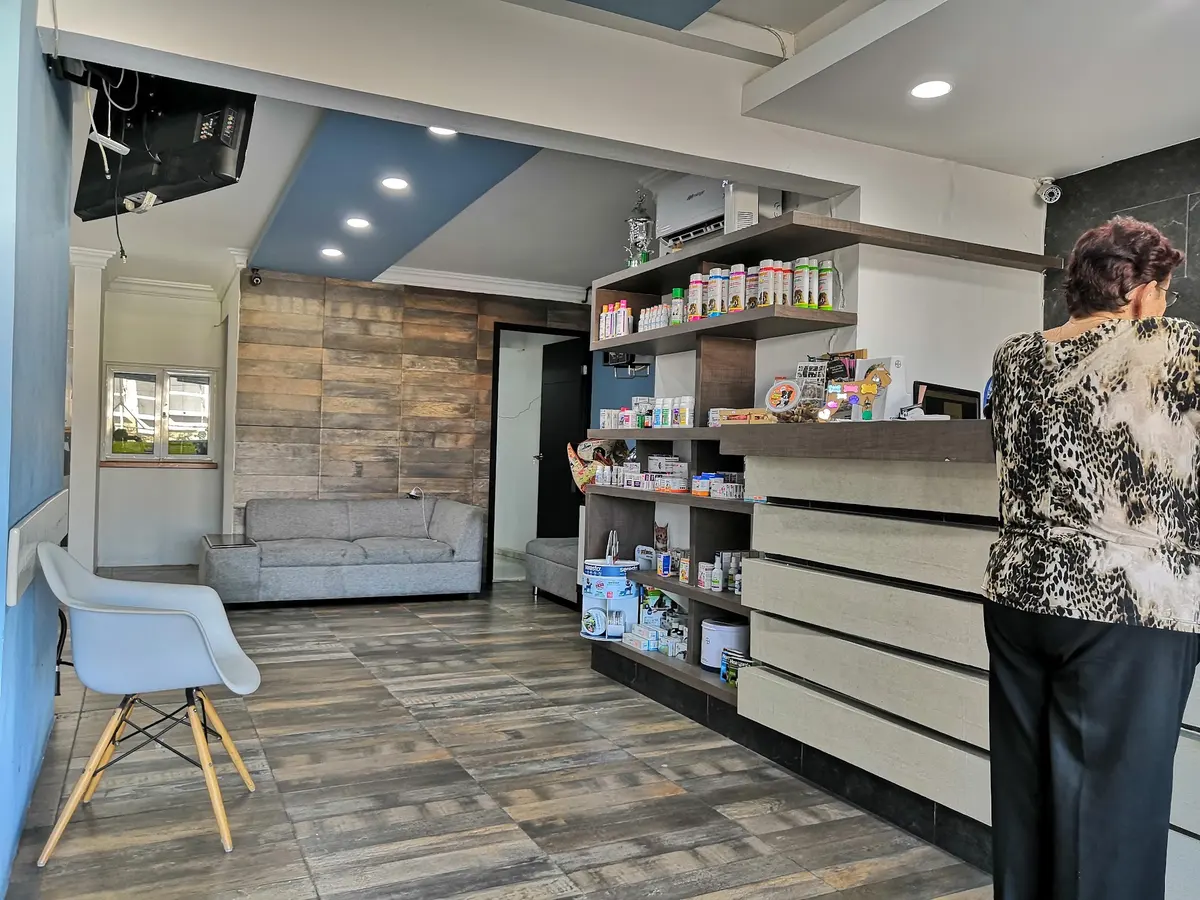 Small Animal Center | Hospital Veterinario