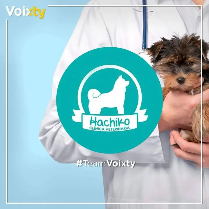 Veterinaria Hachiko