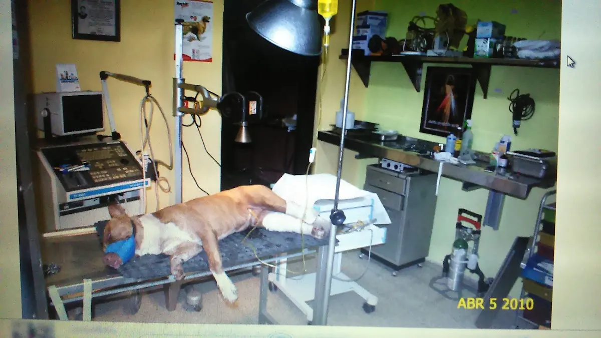 Veterinaria HERRERO