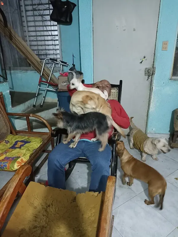 Veterinaria secreto Animal