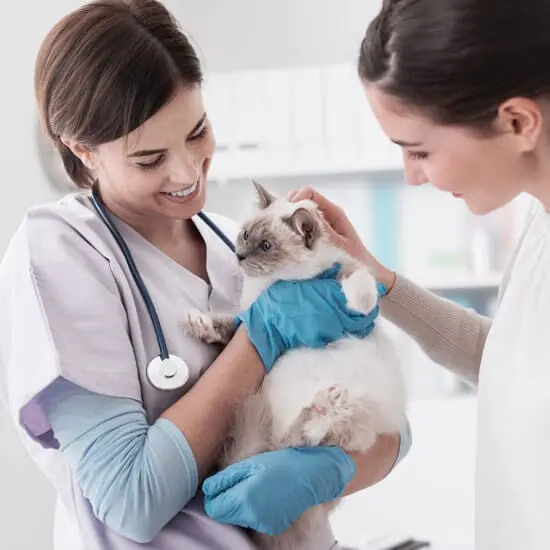 Centro Veterinario Xalapa