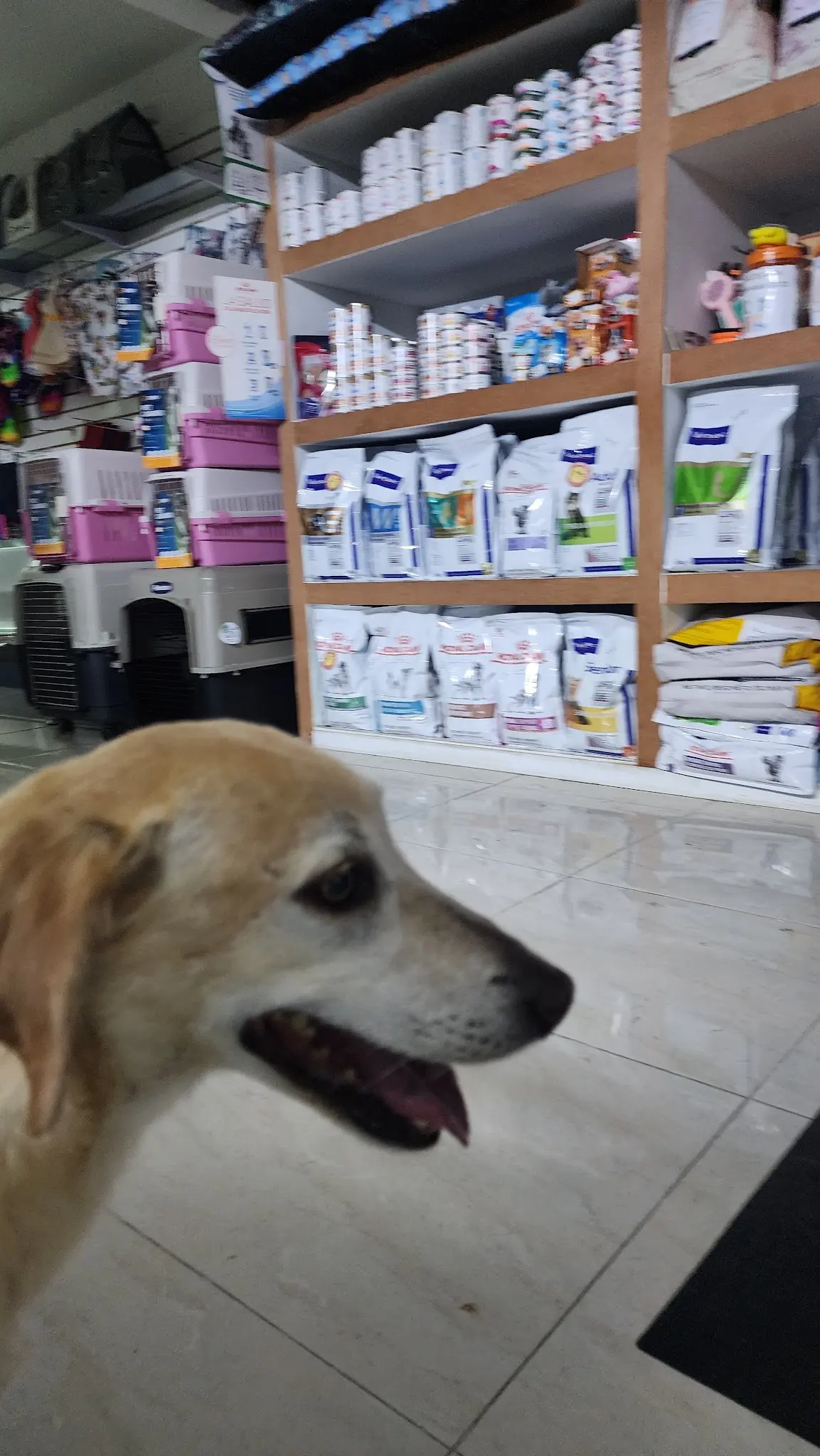 Clinica Veterinaria San Francisco de Asís — foto 2 de 3