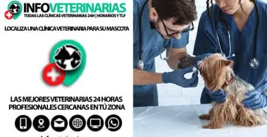 Clínica veterinaria SIHE — foto 4 de 4
