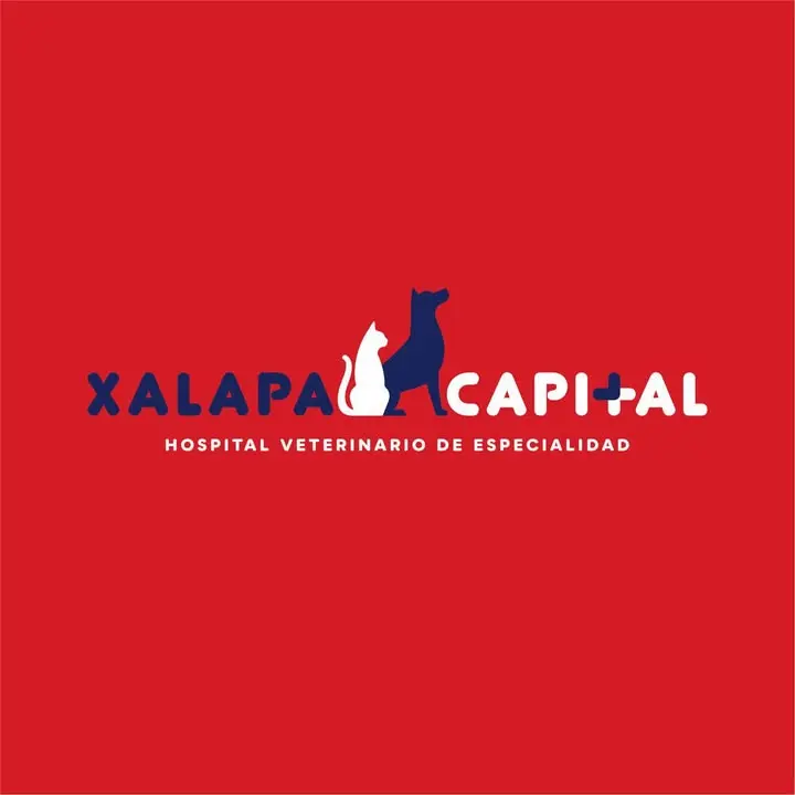 Hospital Veterinario de Especialidad Xalapa Capital