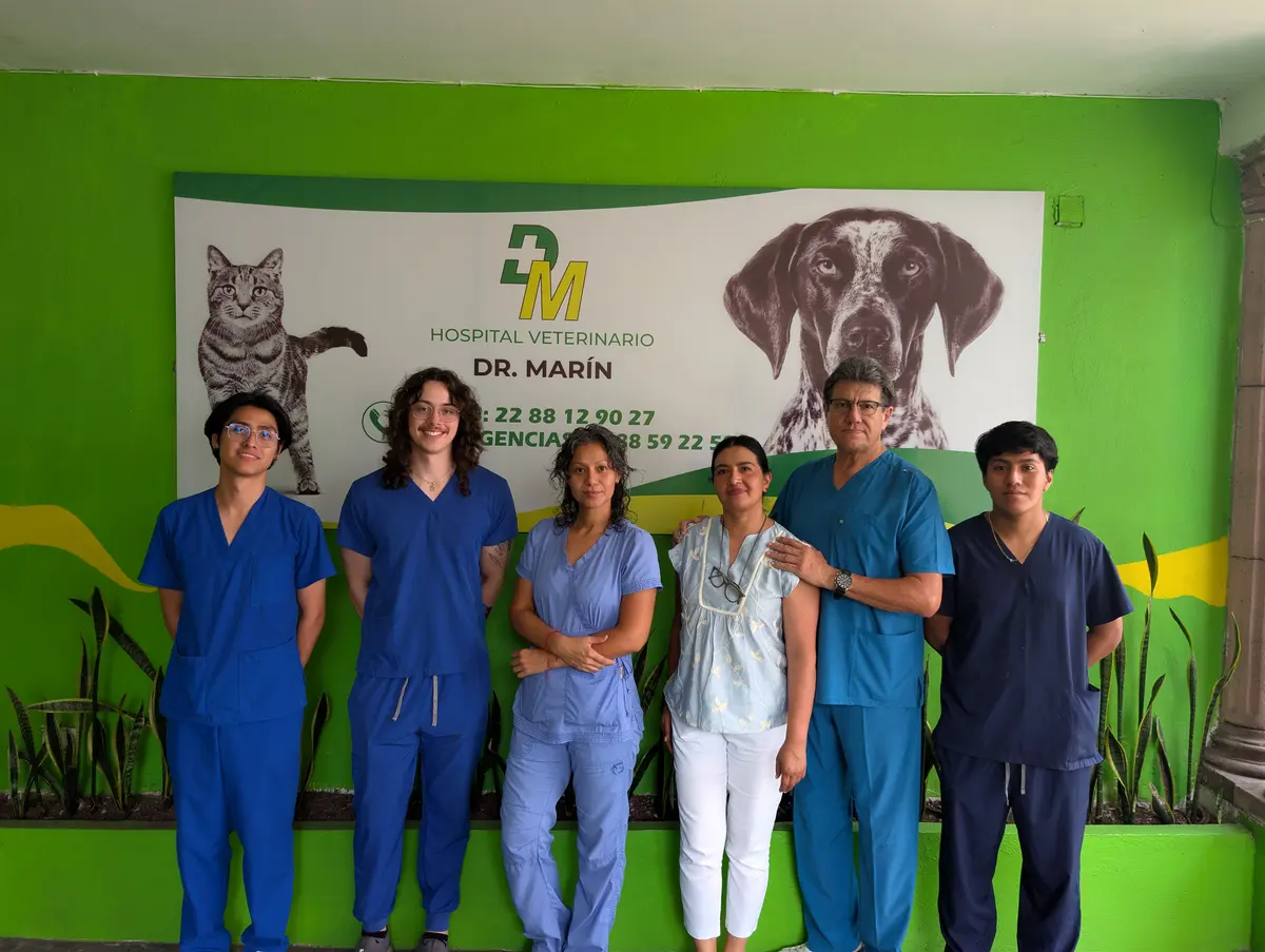 Veterinario Dr. Marín