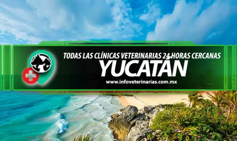 Clínica Veterinaria Pekitos