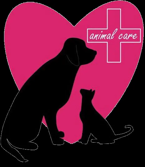 Animal Care Clínica Veterinaria