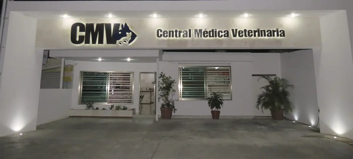 CENTRAL MÉDICA VETERINARIA