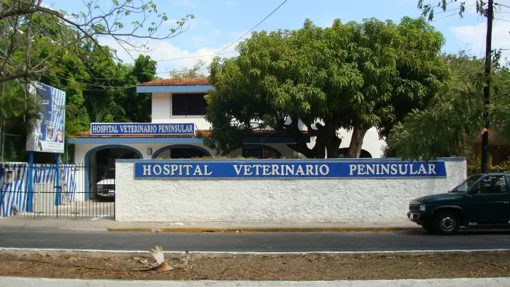 Hospital Veterinario Peninsular — foto 2 de 3