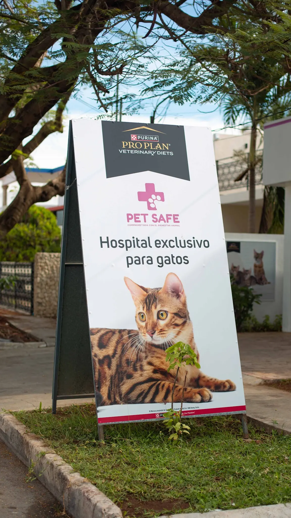 Pet Safe Mérida — foto 3 de 3