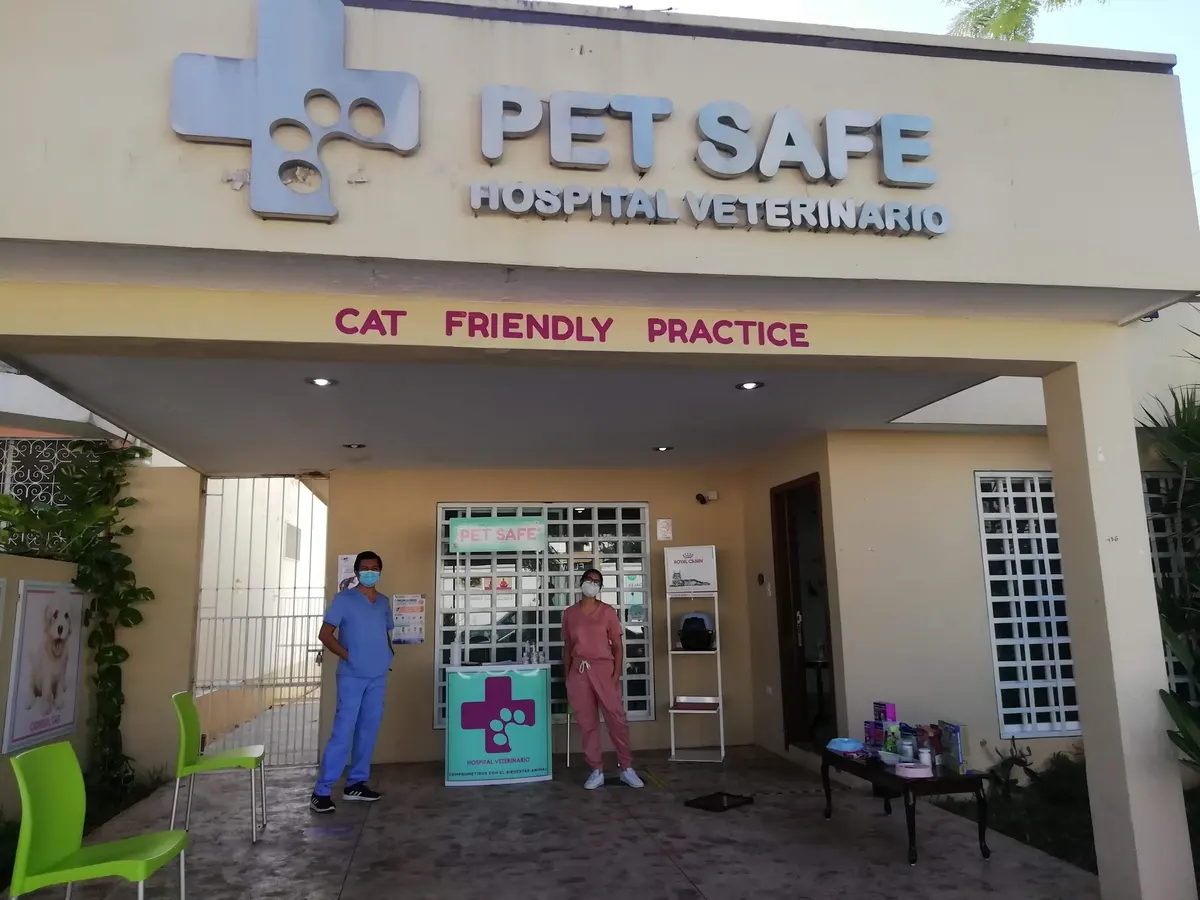 Pet Safe Mérida — foto 2 de 3
