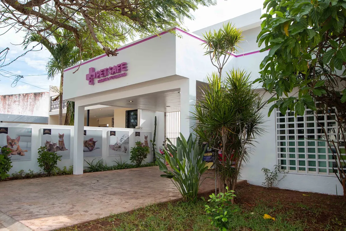 Pet Safe Mérida