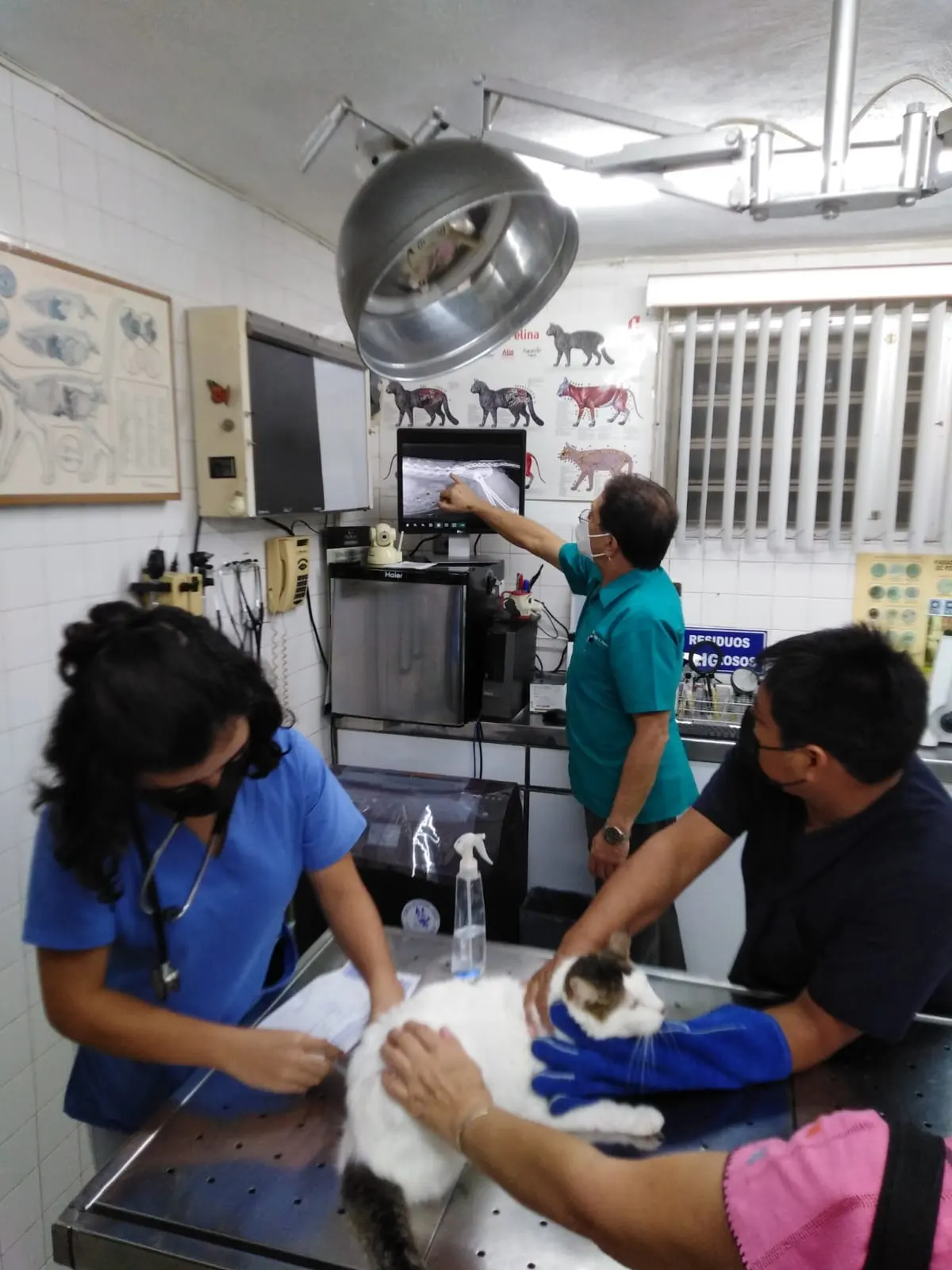 VETERINARIA DUARTE