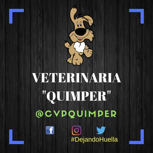 Veterinaria "Quimper"
