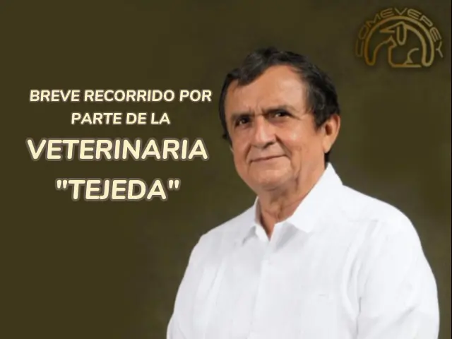Veterinaria Tejeda — foto 2 de 3