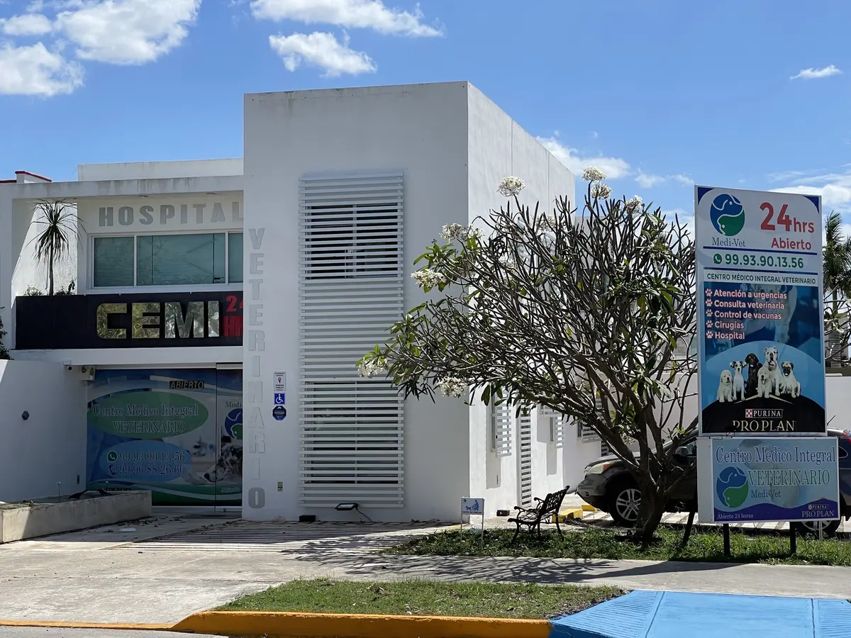VETERINUM Hospital Veterinario 24 Horas — foto 3 de 3