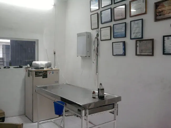 CONSULTORIO VETERINARIO LOEZA