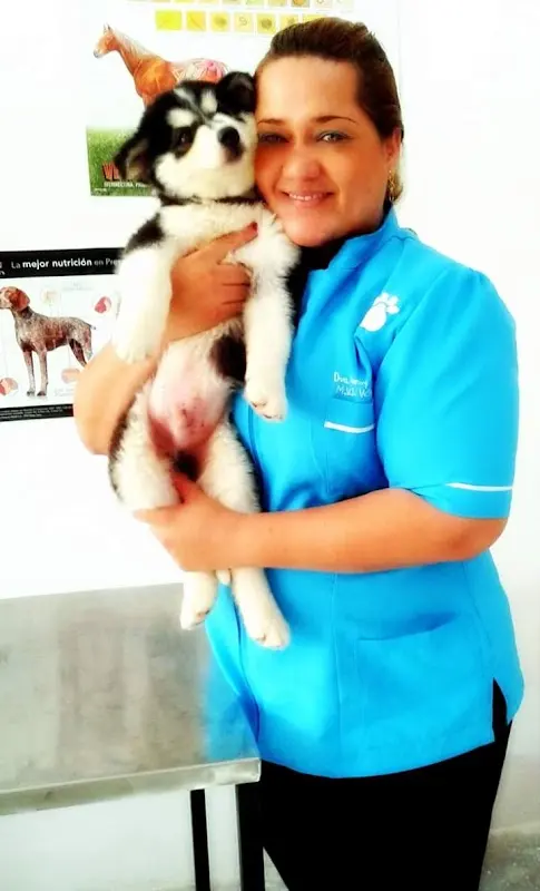 Veterinaria y Spa Donagro