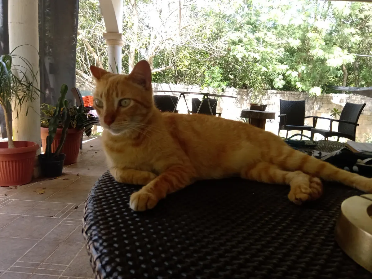 Proyecto AakTun Pek — foto 2 de 3