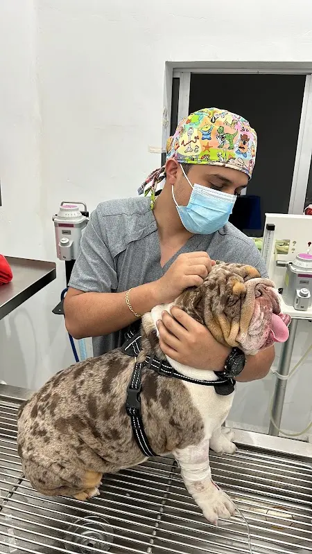Nuevo Progreso VetSpecialists
