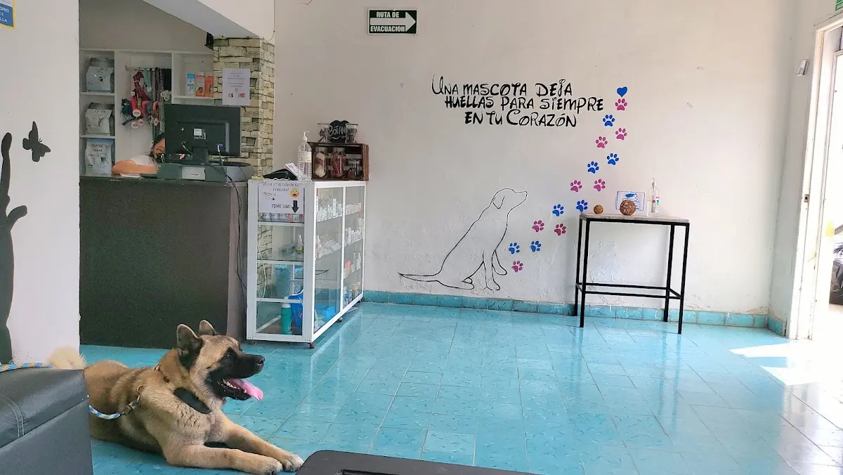 Veterinaria Medican