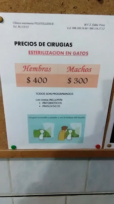 Clinica Veterinaria Pelotillehue