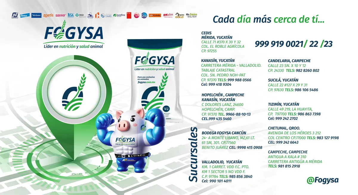 Fogysa Tizimin — foto 3 de 3