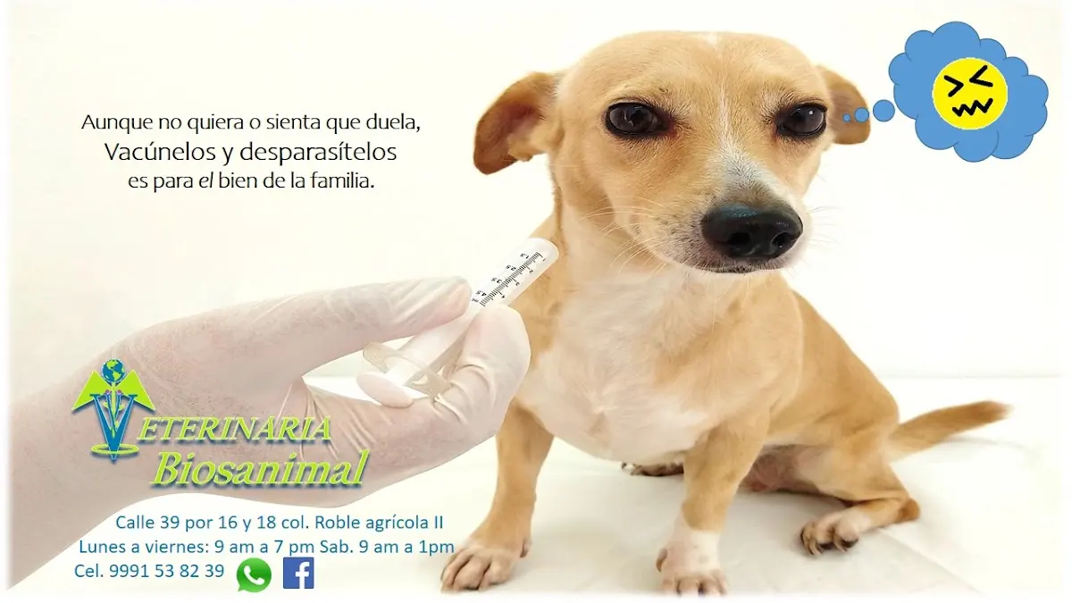 Veterinaria Biosanimal