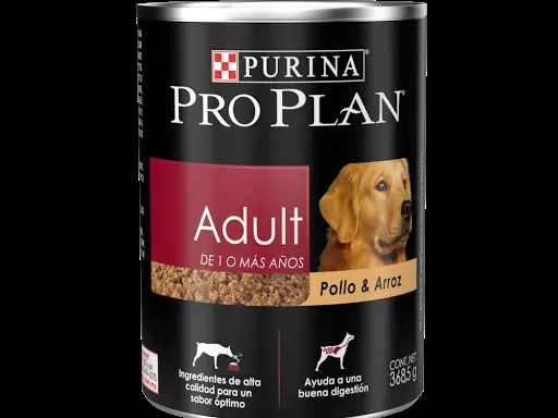 AGROVETERINARIA Y ESTETICA CANINA EL ESFUERZO