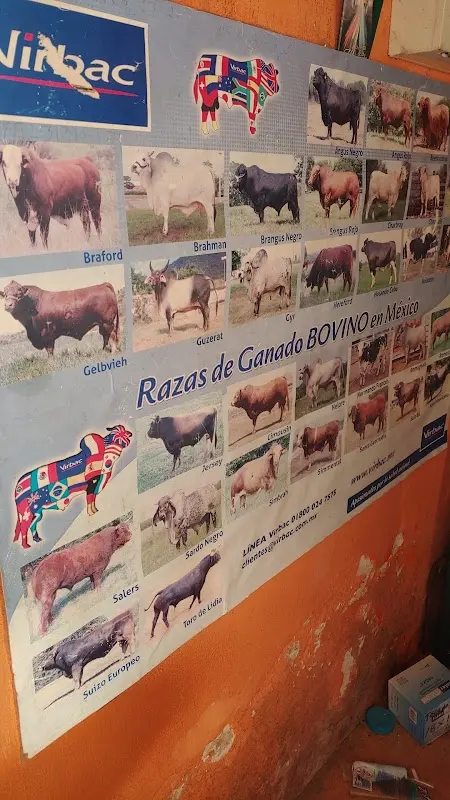 Veterinaria " Santa Lucia"