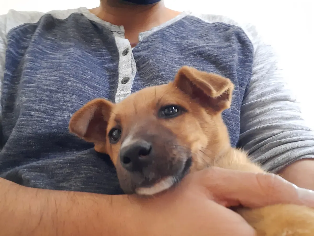 Clínica Veterinaria Caniche's — foto 3 de 3