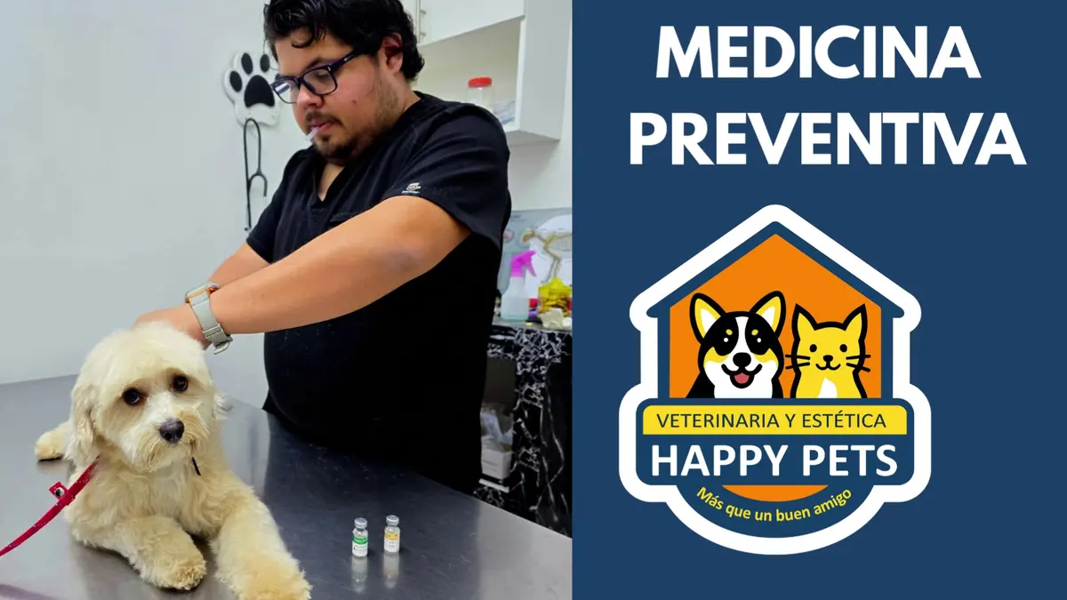 Happy Pets Veterinaria & Estética — foto 2 de 3