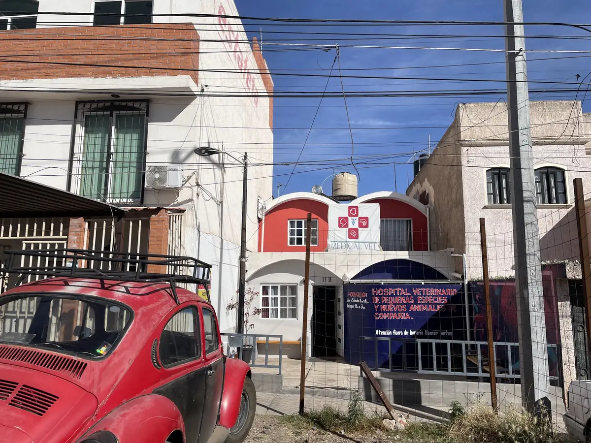 MEDICAL VET — foto 2 de 3