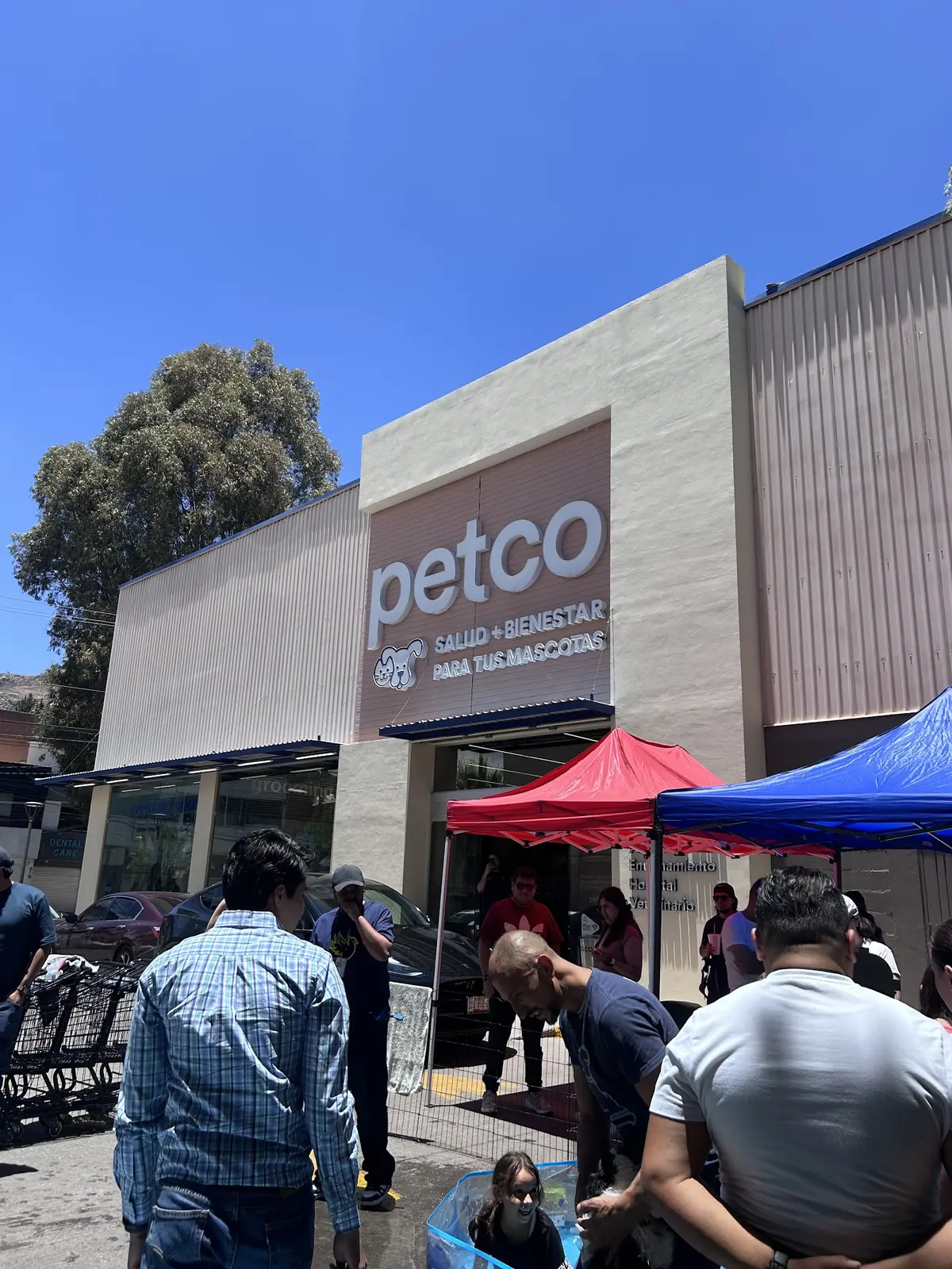Petco Zacatecas