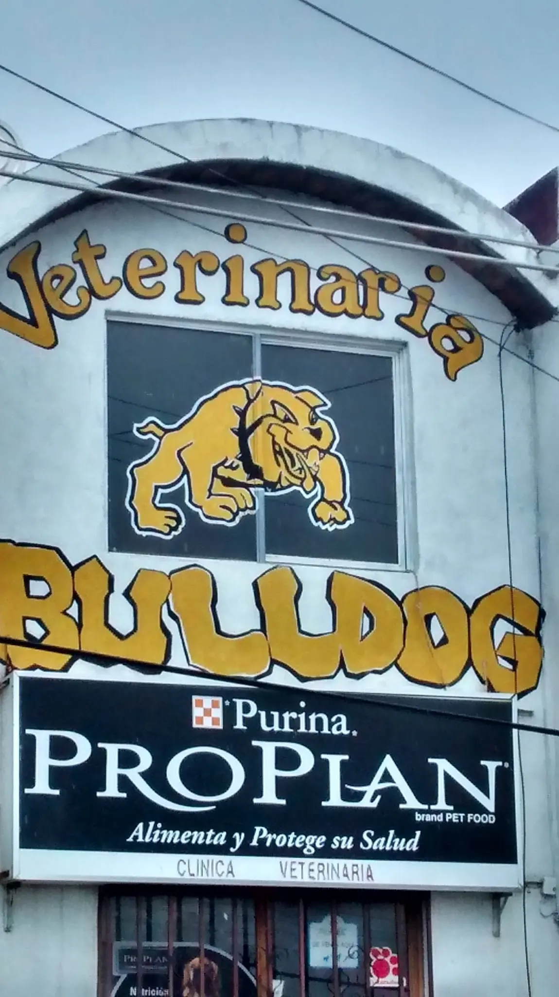 VETERINARIA BULLDOG