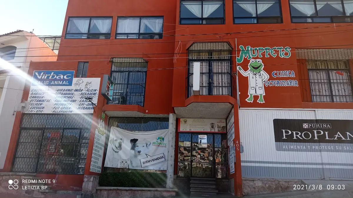 CLINICA VETERINARIA MUPPETS