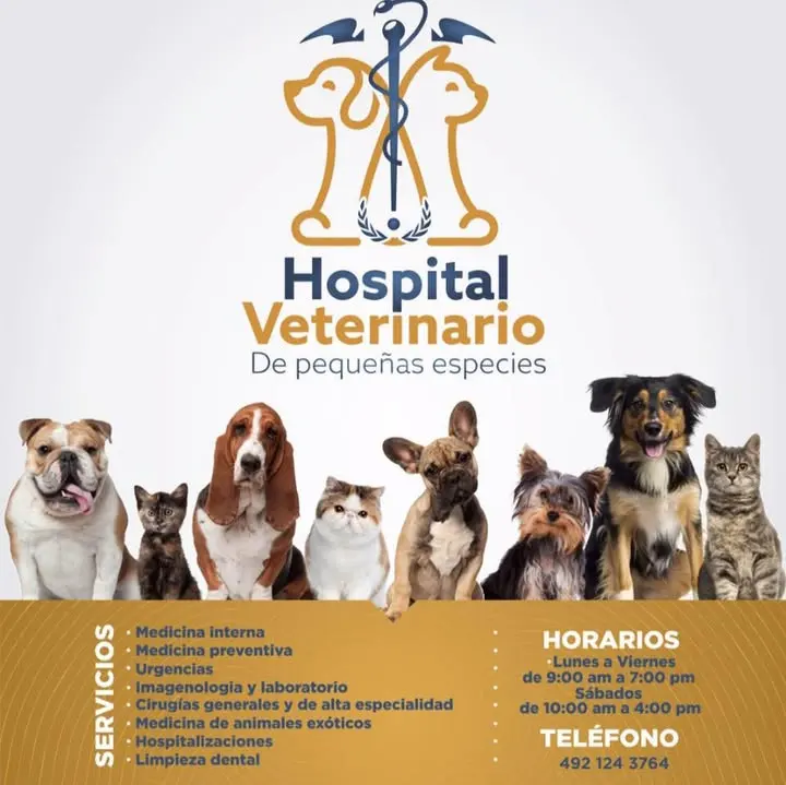 Hospital Veterinario de Pequeñas Especies