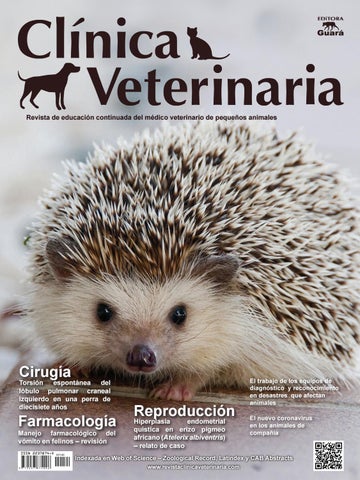 áfrica Veterinaria