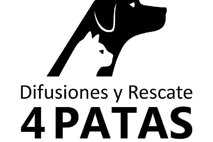 Albergue Animal "patitas Al Rescate"