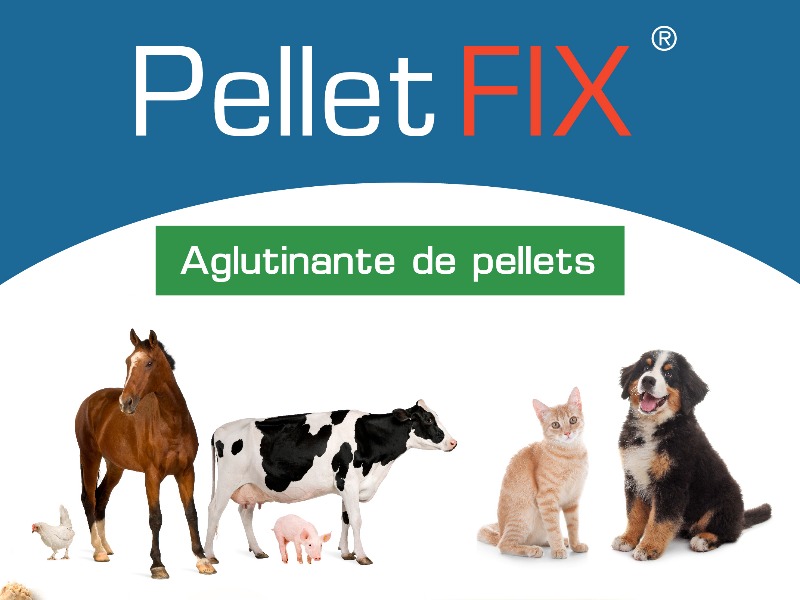 Alfa, Clínica Veterinaria Y Spa Canino