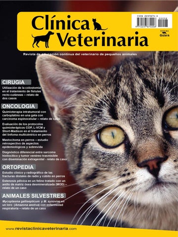 Ame Vet Clínica Veterinaria