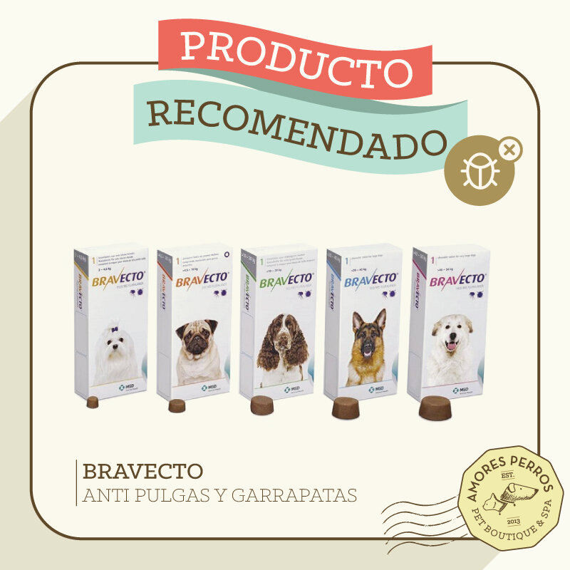 Amores Perros Veterinaria