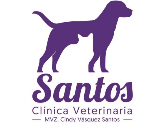 Animal Vet Huajuapan