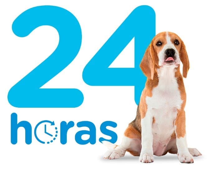 Animalitos Hospital Veterinario 24 Horas Vertiz