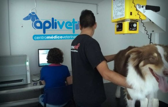 Aplivet Centro Médico Veterinario