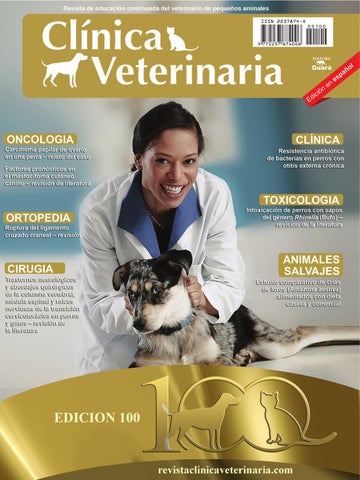 área Veterinaria