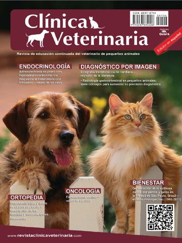 B&e Pets Clínica Veterinaria