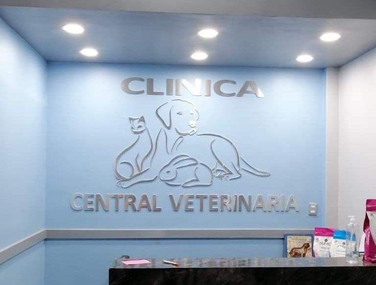 Central Veterinaria