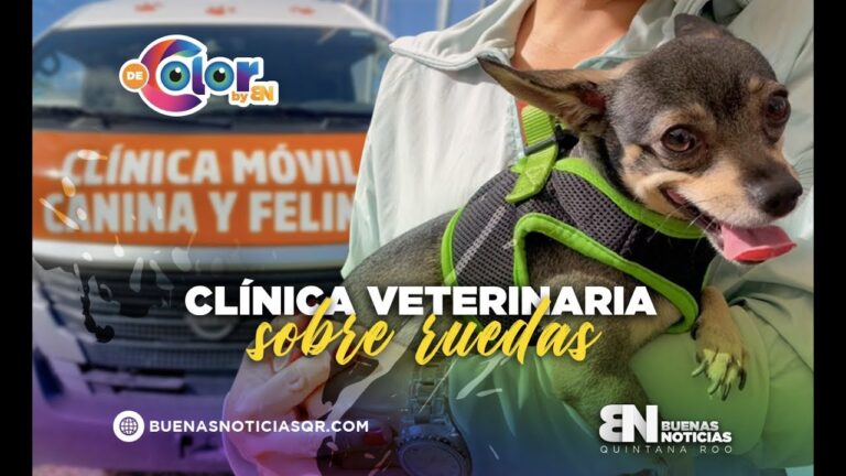 Centro Animal Cancun